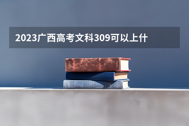 2023广西高考文科309可以上什么大学