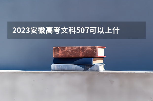 2023安徽高考文科507可以上什么大学