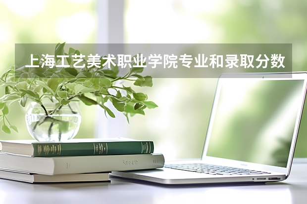 上海工艺美术职业学院专业和录取分数线是多少