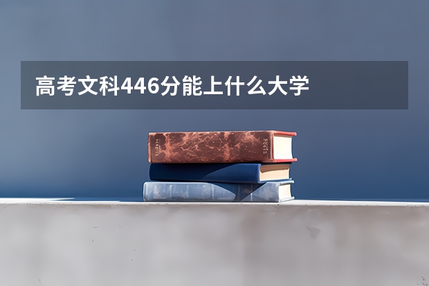 高考文科446分能上什么大学