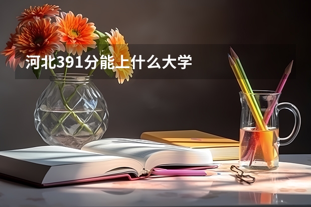 河北391分能上什么大学