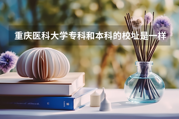 重庆医科大学专科和本科的校址是一样吗