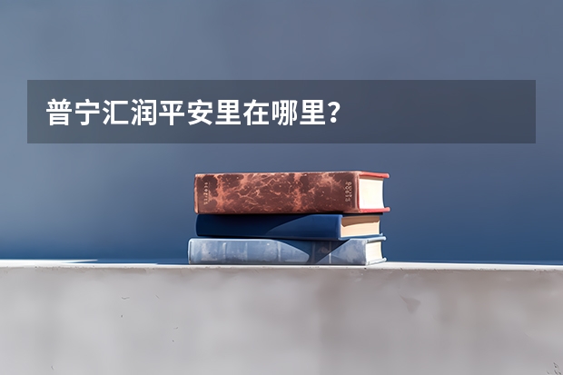 普宁汇润平安里在哪里？