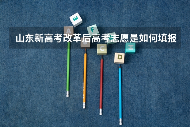 山东新高考改革后高考志愿是如何填报的？