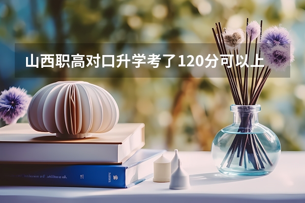 山西职高对口升学考了120分可以上什么学校