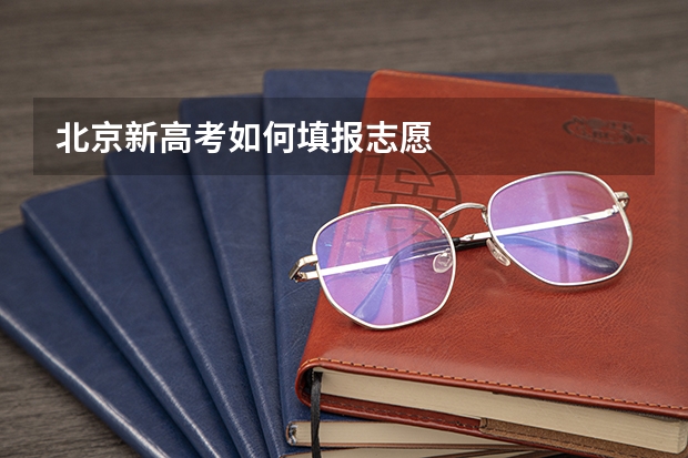 北京新高考如何填报志愿