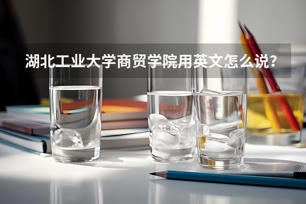湖北工业大学商贸学院用英文怎么说？急！