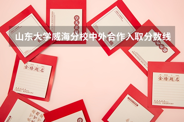 山东大学威海分校中外合作入取分数线是多少？