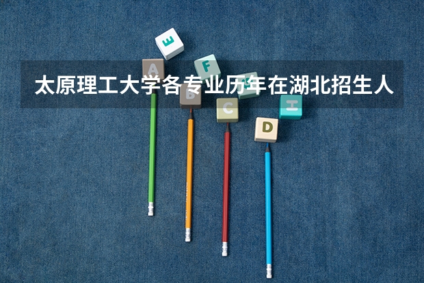 太原理工大学各专业历年在湖北招生人数