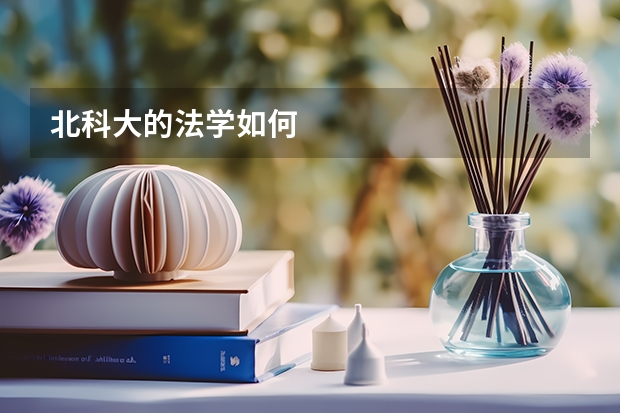 北科大的法学如何