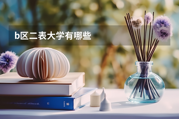 b区二表大学有哪些