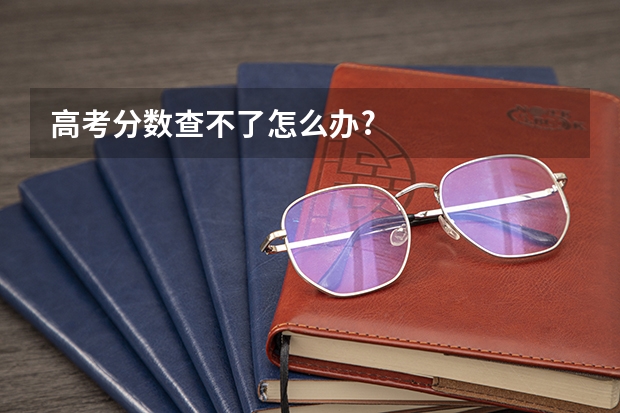 高考分数查不了怎么办?