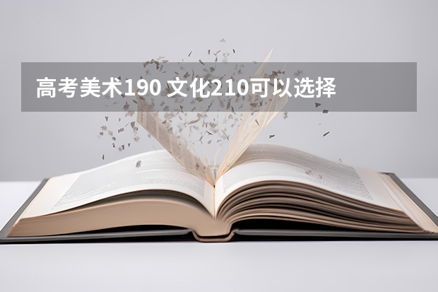 高考美术190 文化210可以选择什么学校好啊?江苏省内的