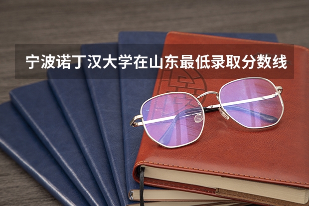 宁波诺丁汉大学在山东最低录取分数线（2024高考参考）