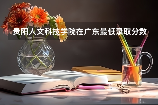 贵阳人文科技学院在广东最低录取分数线（2024高考参考）
