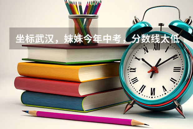 坐标武汉，妹妹今年中考，分数线太低，中职线都没过，有什么学校可以读吗？