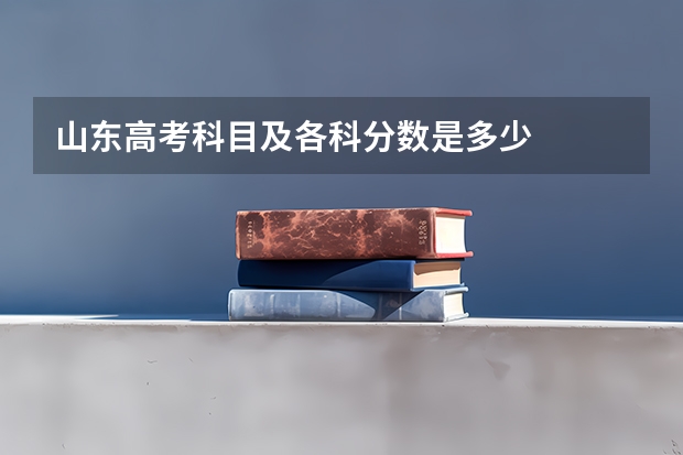 山东高考科目及各科分数是多少