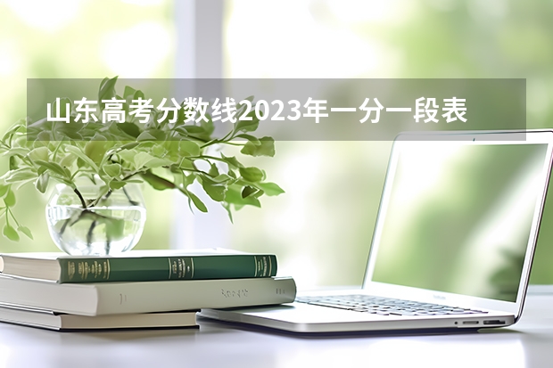 山东高考分数线2023年一分一段表 山东省高考分数段