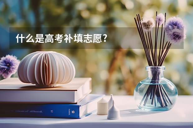 什么是高考补填志愿?