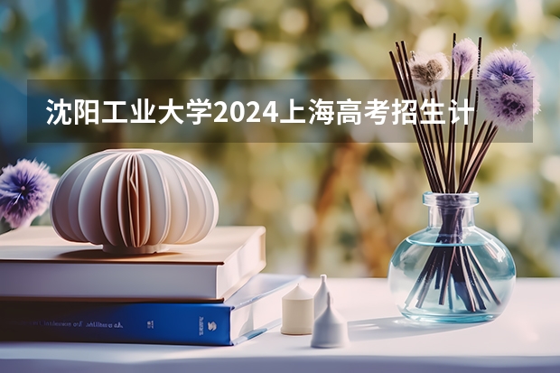 沈阳工业大学2024上海高考招生计划详解