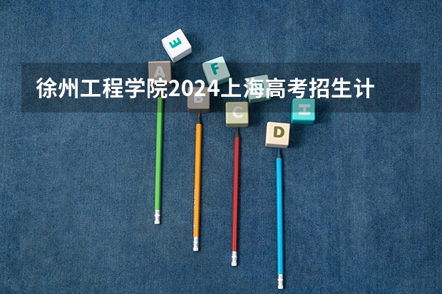 徐州工程学院2024上海高考招生计划详解