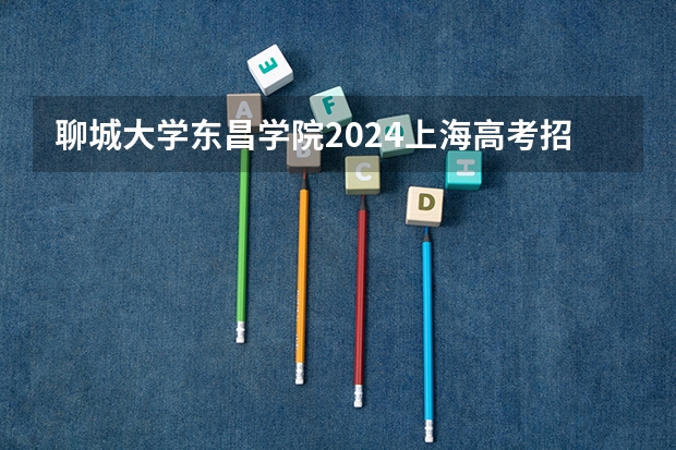 聊城大学东昌学院2024上海高考招生计划详解