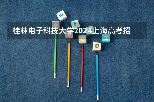 桂林电子科技大学2024上海高考招生计划详解