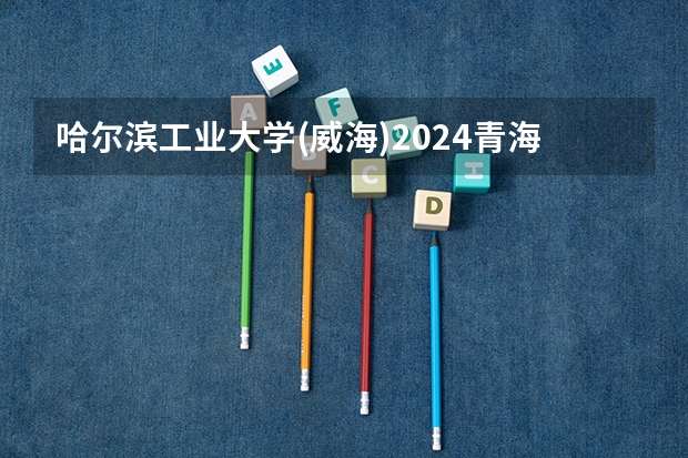 哈尔滨工业大学(威海)2024青海高考招生计划详解