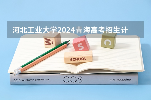 河北工业大学2024青海高考招生计划详解