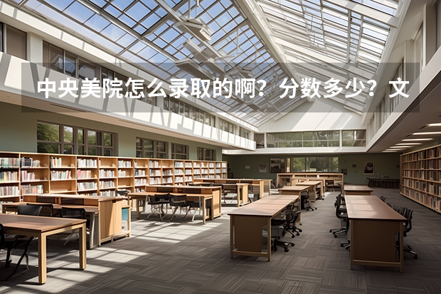 中央美院怎么录取的啊？分数多少？文化课成绩？专业成绩？录取线怎么样？还有，央美是两个院校？