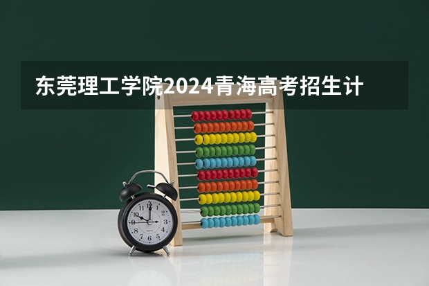 东莞理工学院2024青海高考招生计划详解