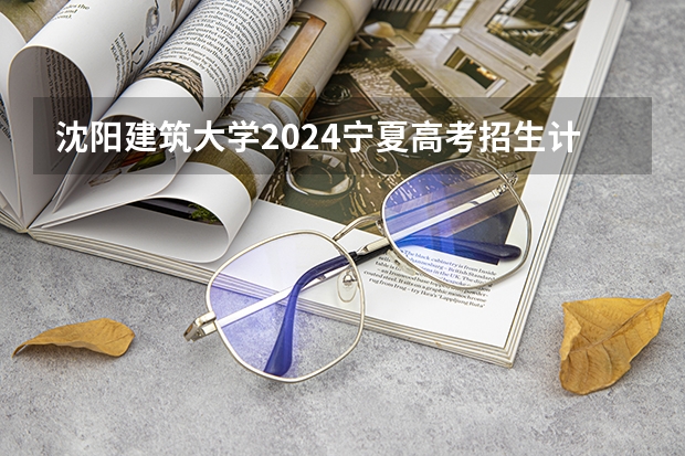 沈阳建筑大学2024宁夏高考招生计划详解