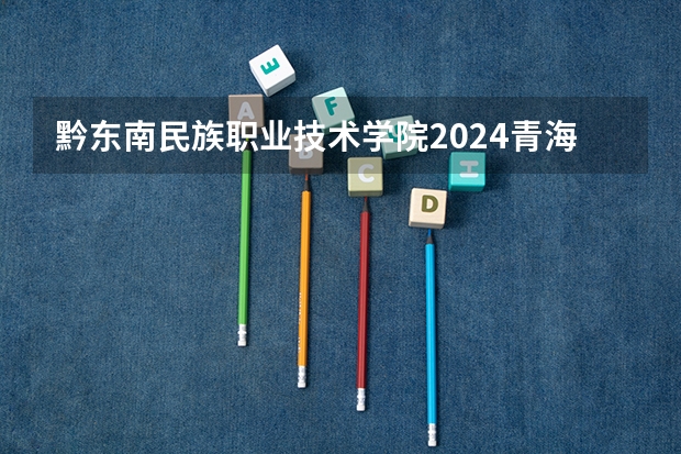 黔东南民族职业技术学院2024青海高考招生计划详解