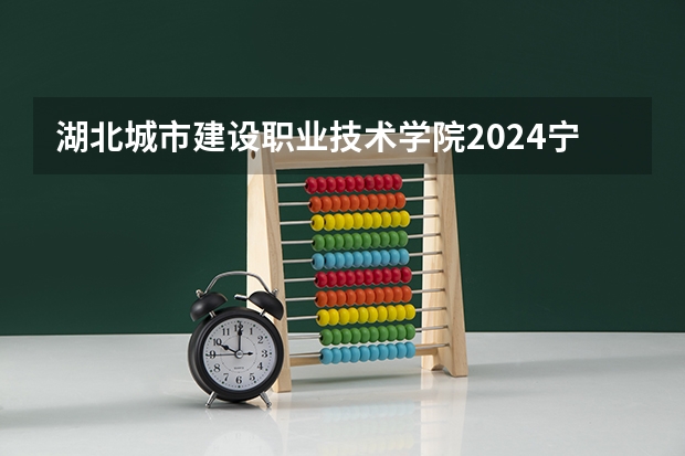 湖北城市建设职业技术学院2024宁夏高考招生计划详解