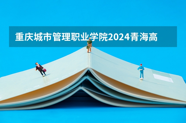 重庆城市管理职业学院2024青海高考招生计划详解