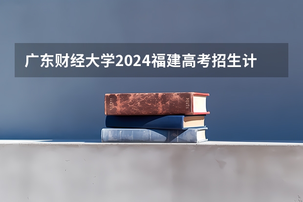 广东财经大学2024福建高考招生计划详解