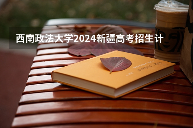 西南政法大学2024新疆高考招生计划详解