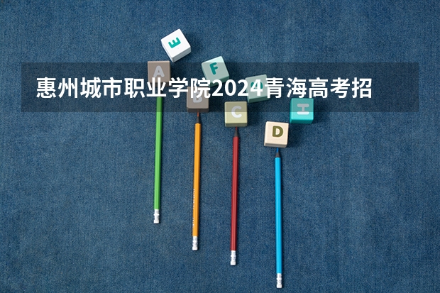 惠州城市职业学院2024青海高考招生计划详解