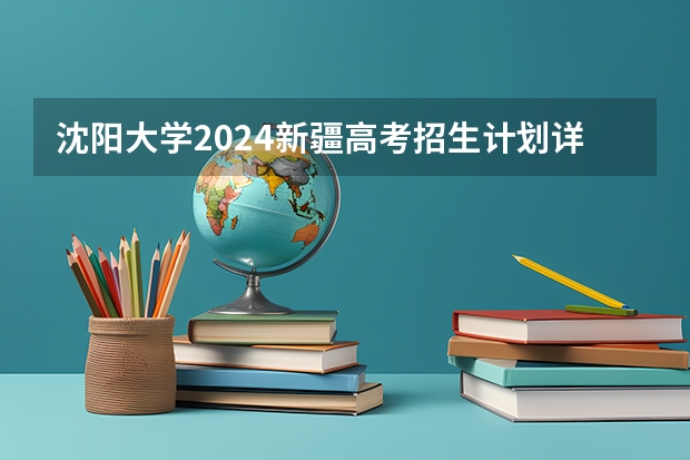 沈阳大学2024新疆高考招生计划详解