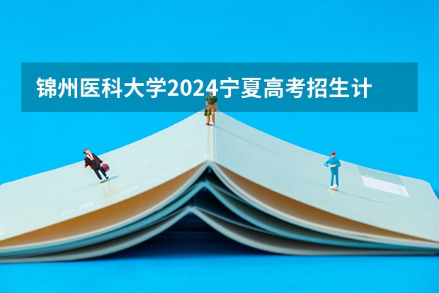 锦州医科大学2024宁夏高考招生计划详解