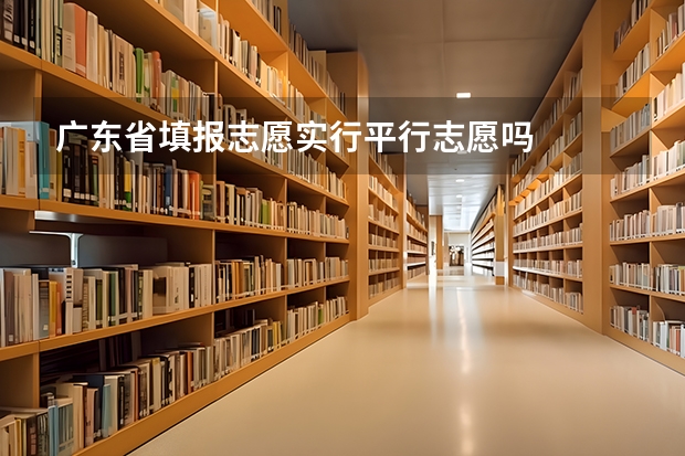 广东省填报志愿实行平行志愿吗