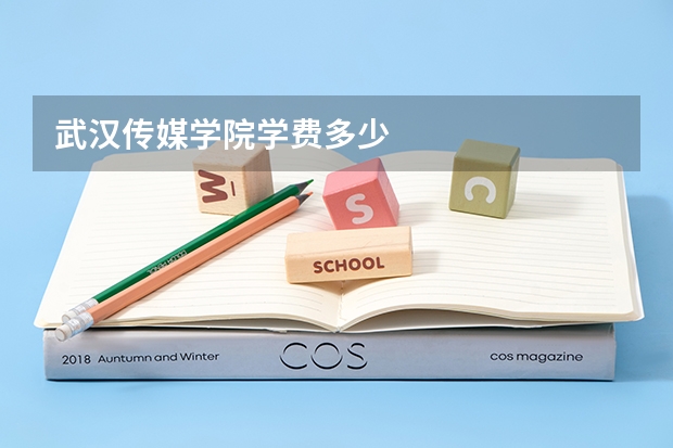 武汉传媒学院学费多少