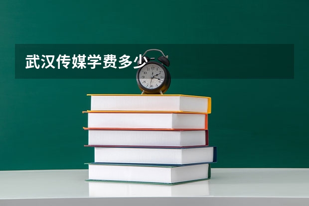 武汉传媒学费多少