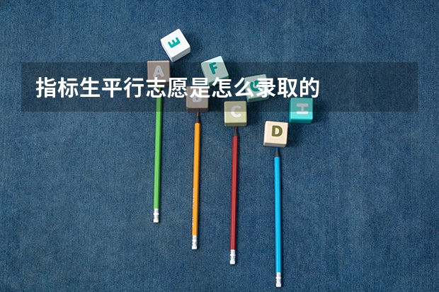 指标生平行志愿是怎么录取的