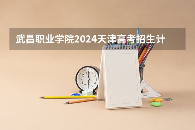 武昌职业学院2024天津高考招生计划详解