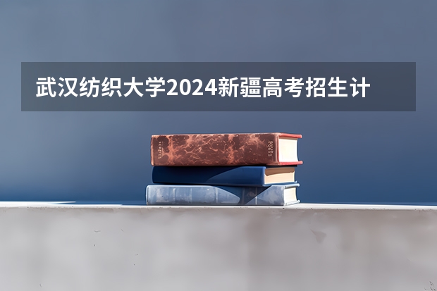 武汉纺织大学2024新疆高考招生计划详解