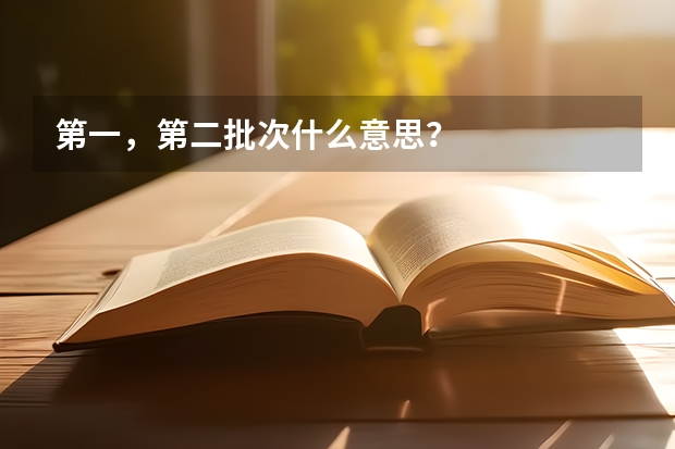 第一,第二批次什么意思?