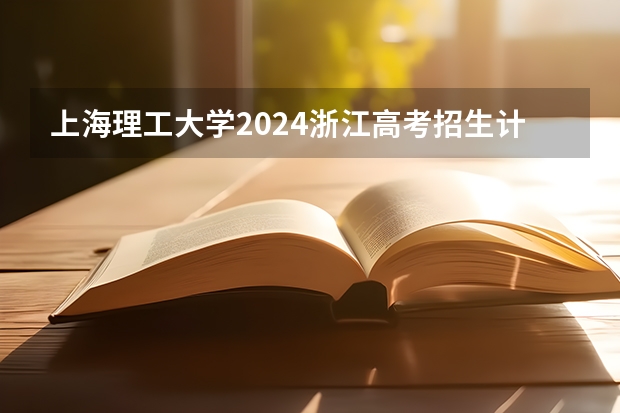 上海理工大学2024浙江高考招生计划详解